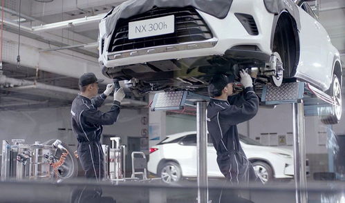 不想賺我們的錢？這個(gè)品牌火到加價(jià)，但為何不國產(chǎn)